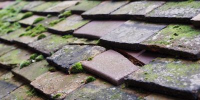 Sudbrook Rumney roof repair costs